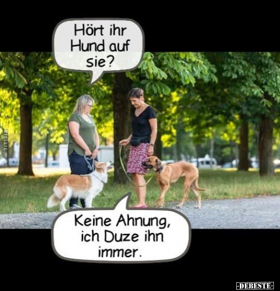 Hört ihr Hund auf sie?.. - Lustige Bilder | DEBESTE.de