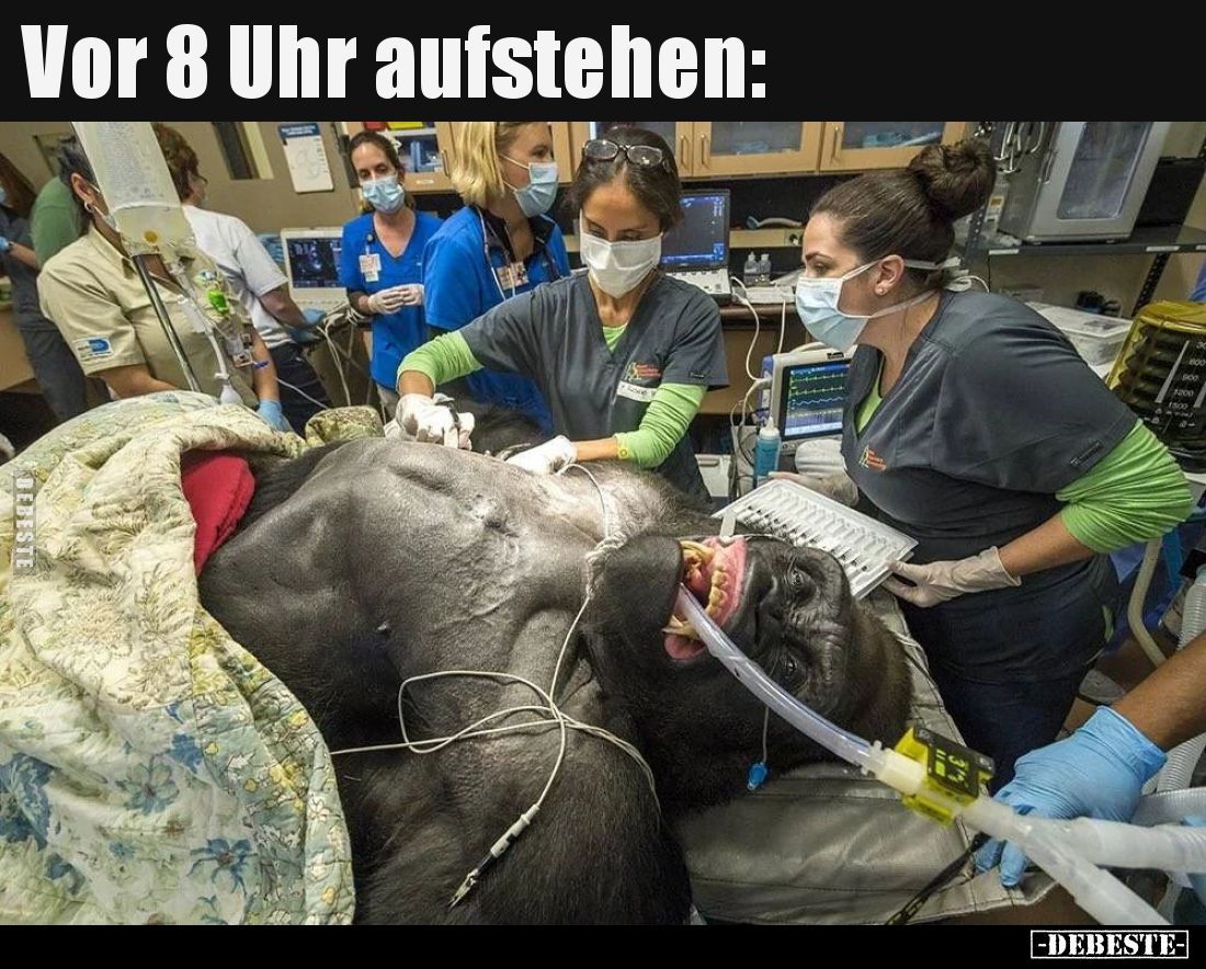 Vor 8 Uhr aufstehen