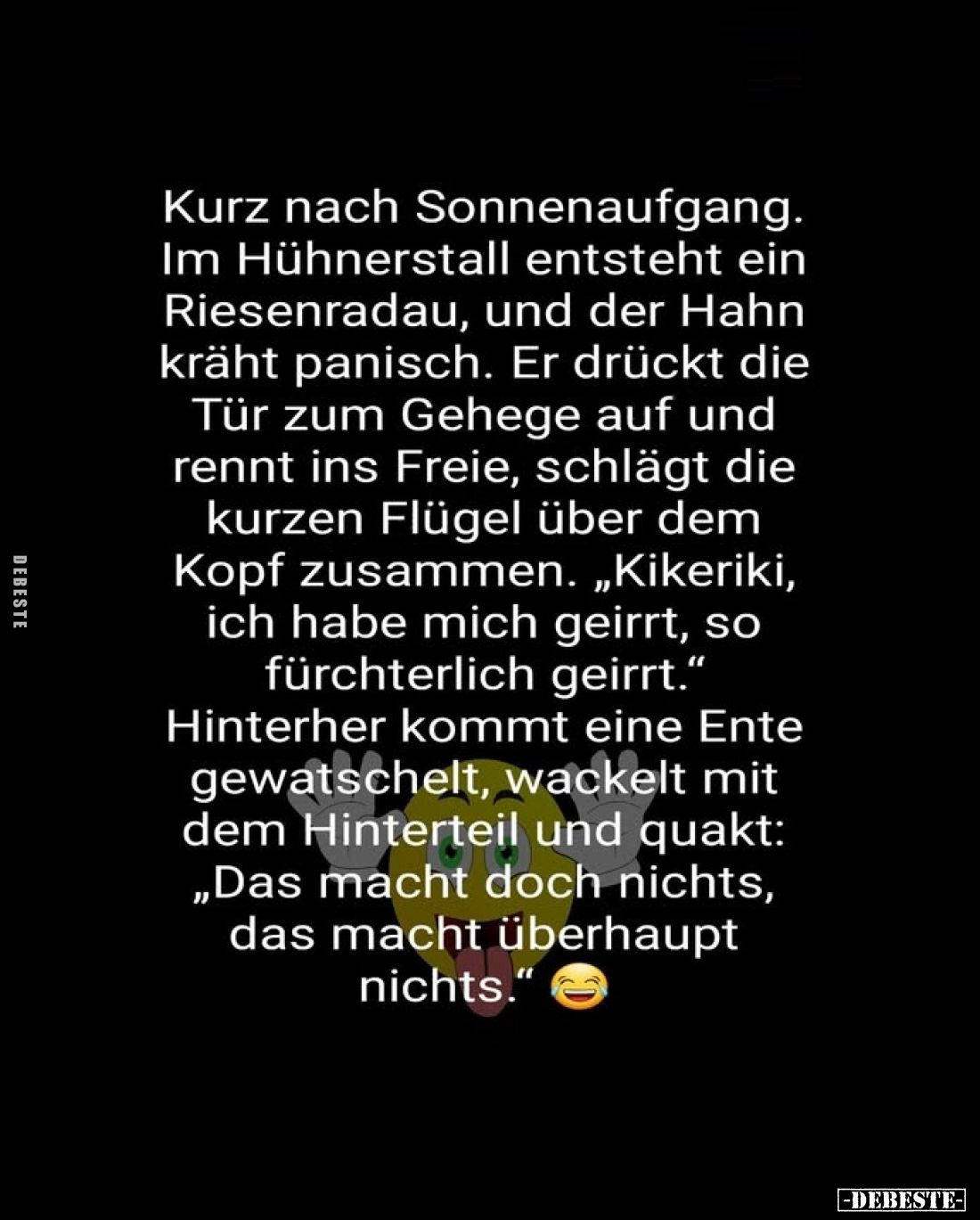 Kurz nach Sonnenaufgang. Im Hühnerstall entsteht ein Riesenradau, und der Hahn kräht panisch. Er drückt die Tür zum Gehege au...