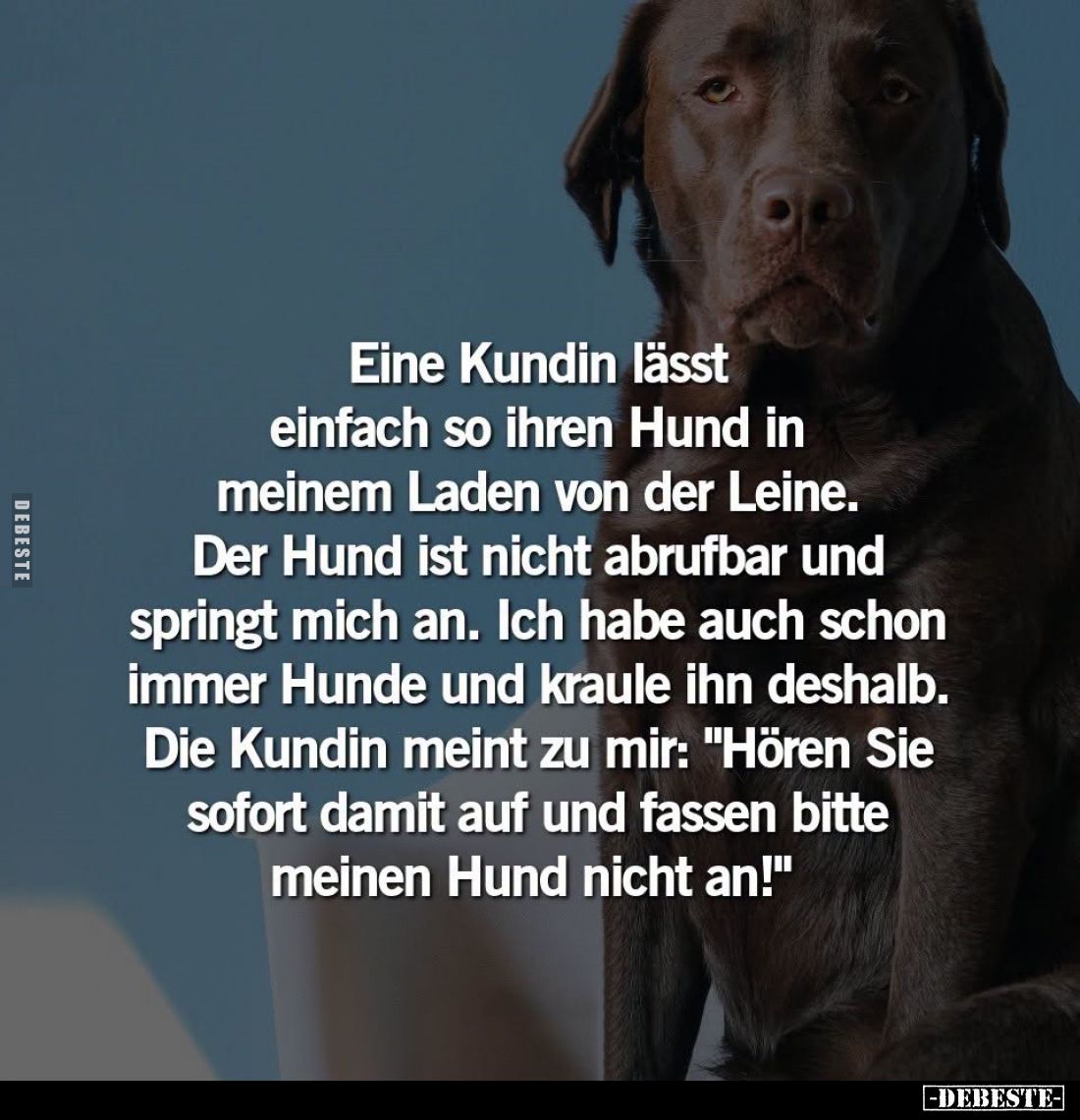 Eine Kundin lässt einfach so ihren Hund in meinem Laden von der Leine.
Der Hund ist nicht abrufbar und springt mich an. Ich ...