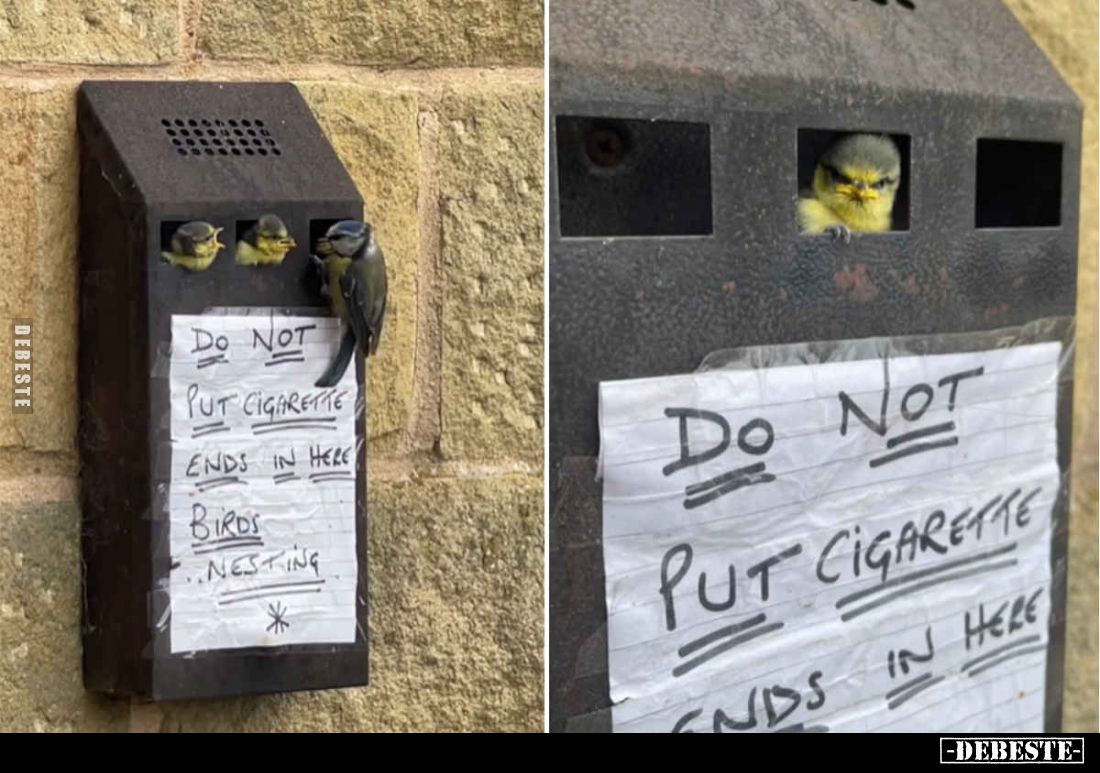 Don't put cigarette ends!