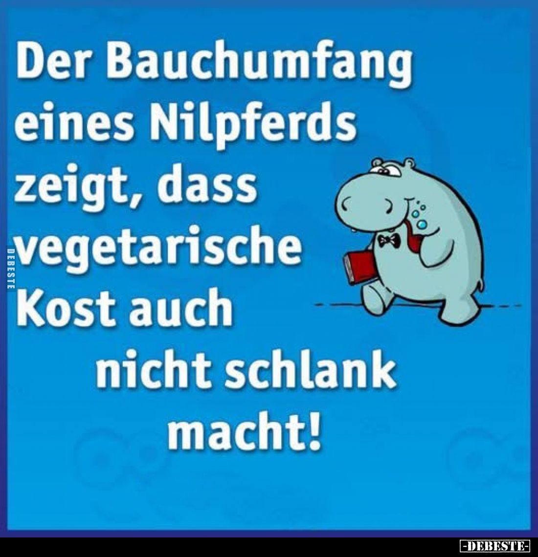 Der Bauchumfang eines Nilpferds zeigt, dass vegetarische Kost auch nicht schlank macht!