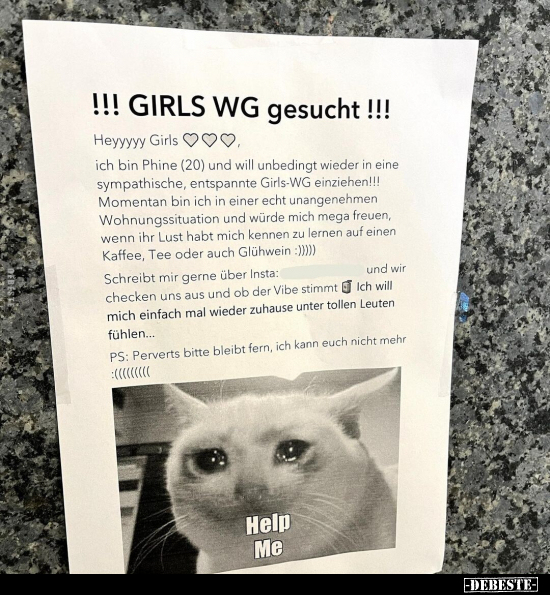 !!! GIRLS WG gesucht!!!... - Lustige Bilder | DEBESTE.de