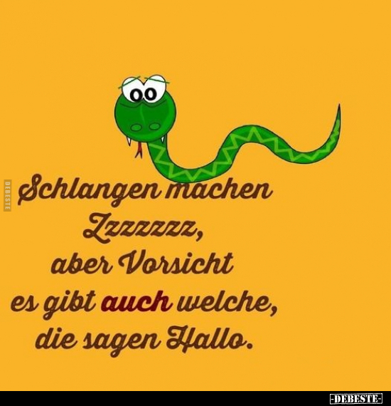 Schlangen machen Zzzzzzzzz, aber Vorsicht es gibt auch.. - Lustige Bilder | DEBESTE.de
