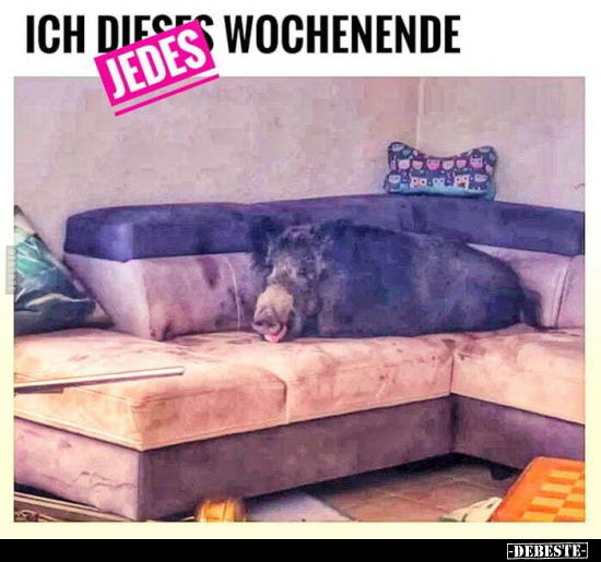Ich jedes Wochenende..