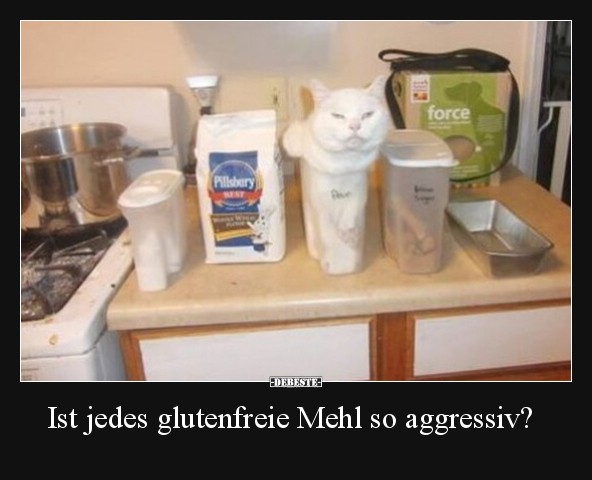 Ist jedes glutenfreie Mehl so aggressiv?.. - Lustige Bilder | DEBESTE.de