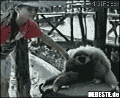 :] - Lustige Bilder | DEBESTE.de