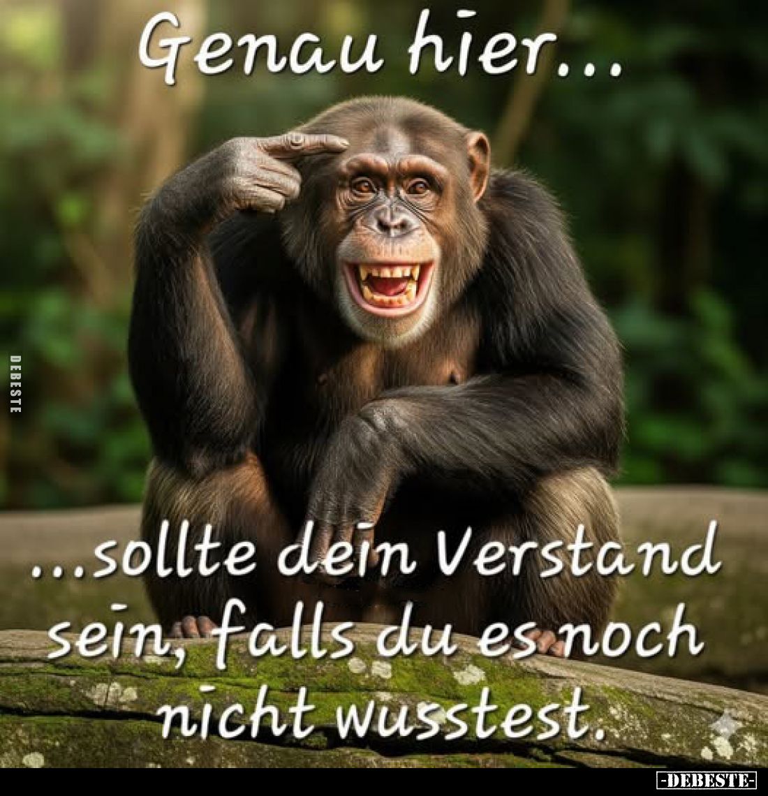 Genau hier... ...sollte dein Verstand sein, falls du es noch nicht wusstest.