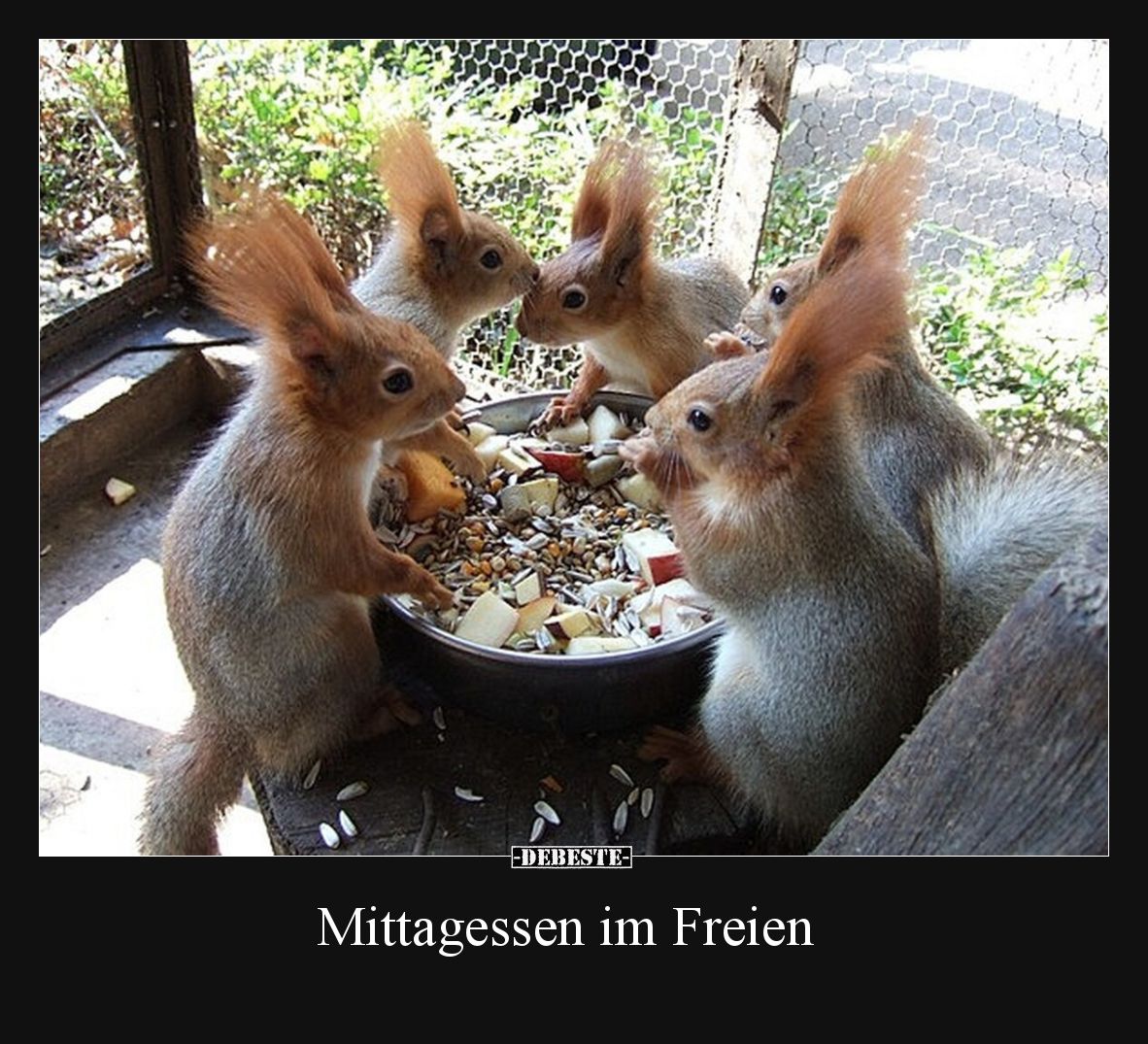Mittagessen im Freien