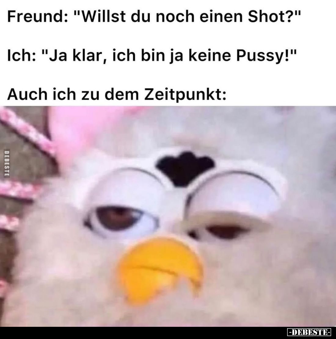 Freund: "Willst du noch einen Shot?" -
Ich: "Ja klar, ich bin ja keine Pussy!" -
Auch ich zu dem Zeitpu...