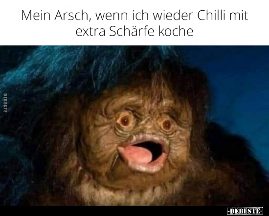 Mein Arsch, wenn ich wieder Chilli mit extra Schärfe.. - Lustige Bilder | DEBESTE.de