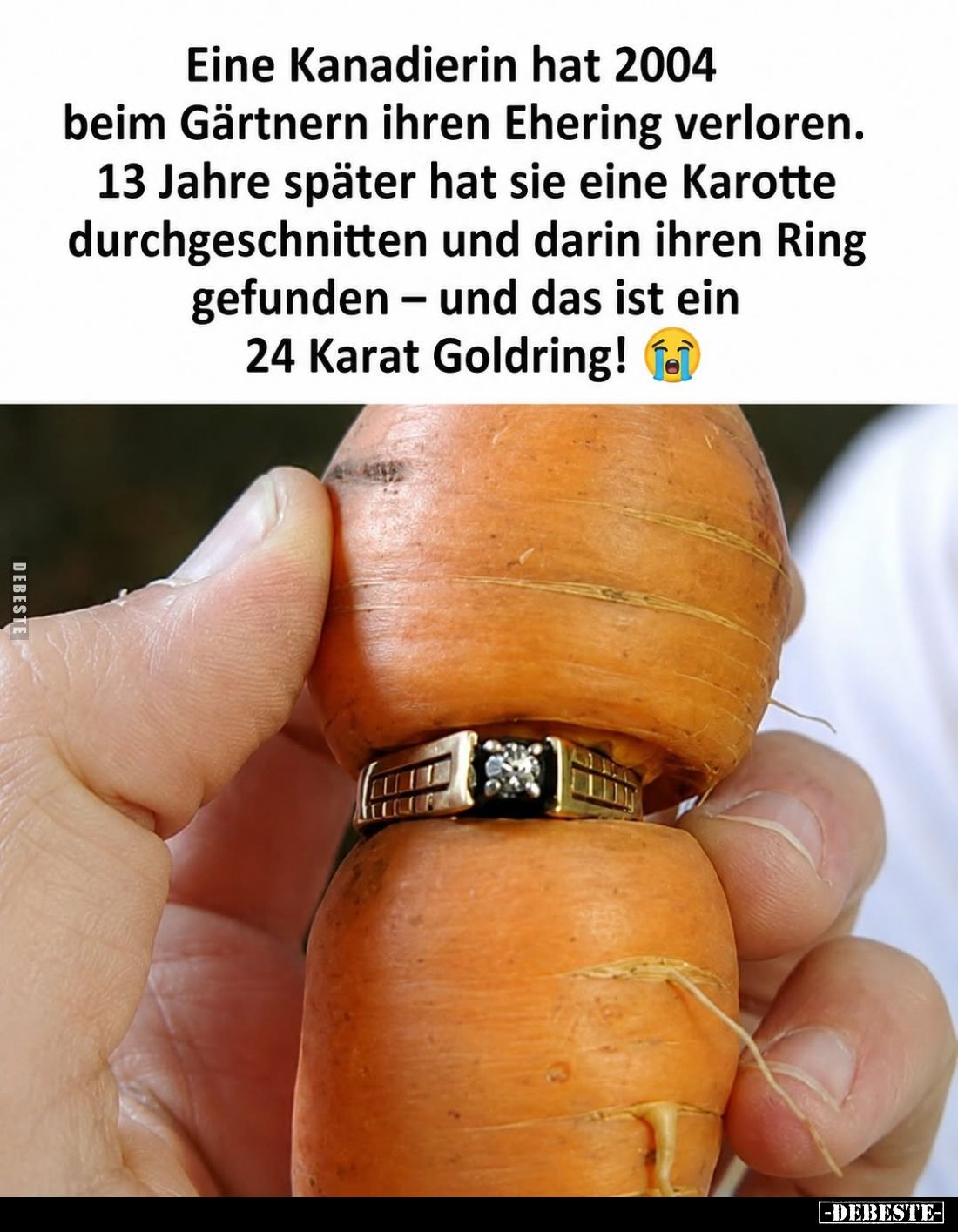 Eine Kanadierin hat 2004 beim Gärtnern ihren Ehering verloren.
13 Jahre später hat sie eine Karotte durchgeschnitten und dar...