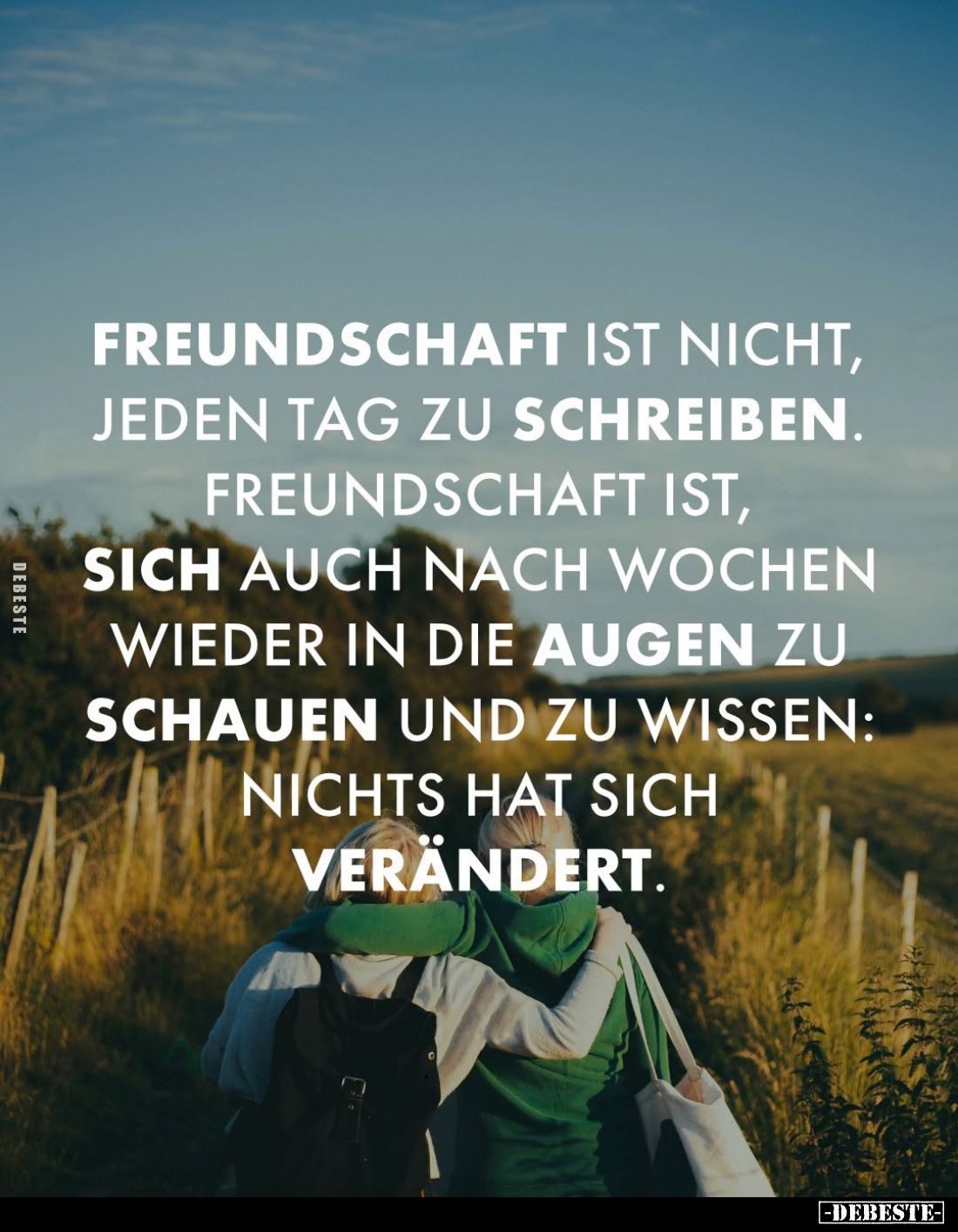 Freundschaft ist nicht, jeden Tag zu schreiben. Freundschaft ist,
sich auch nach Wochen wieder in die Augen zu schauen und z...