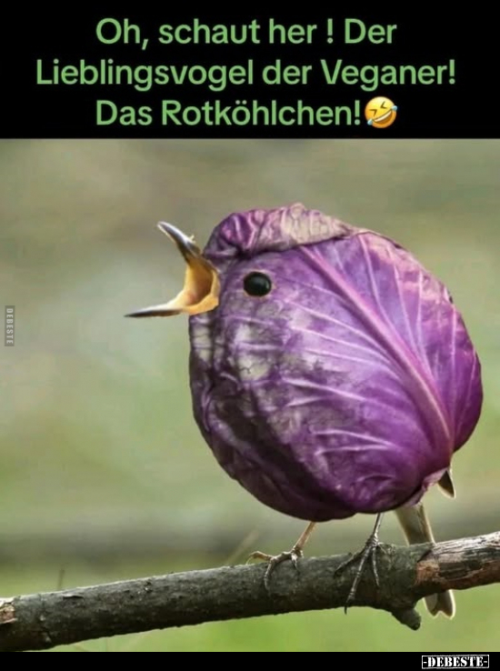 Oh, schaut her! Der Lieblingsvogel der Veganer!.. - Lustige Bilder | DEBESTE.de