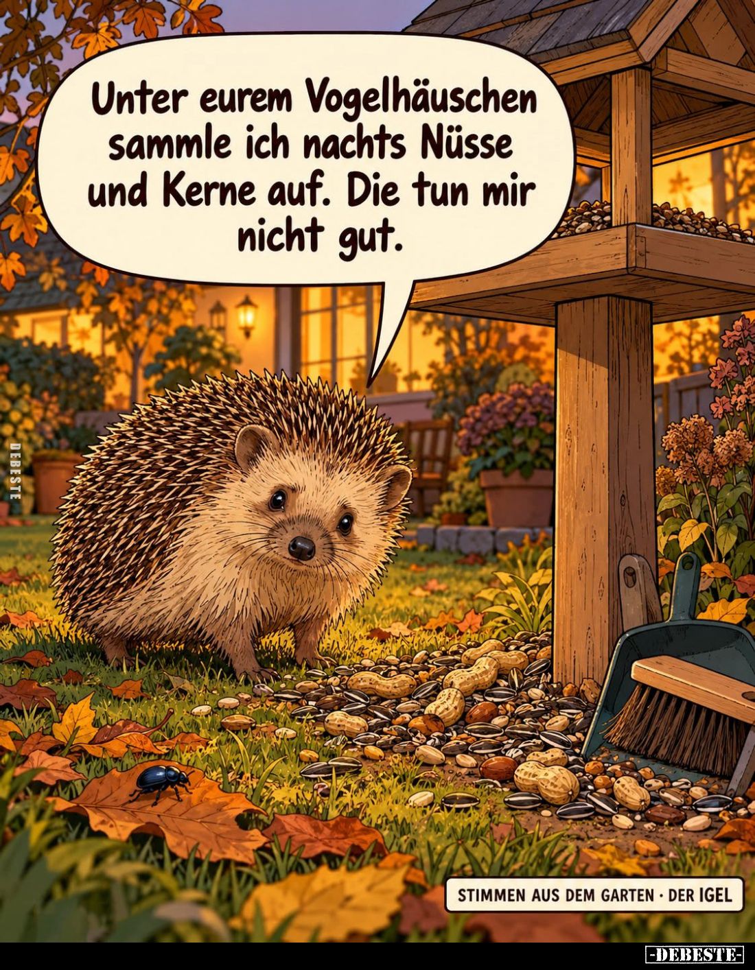 Unter eurem Vogelhäuschen sammle ich nachts Nüsse und Kerne auf. Die tun mir nicht gut.