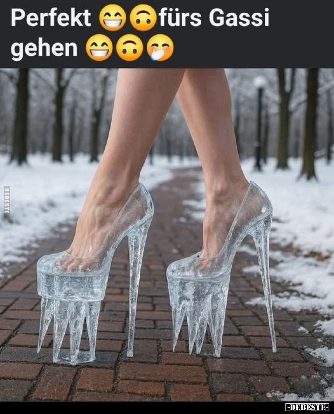 Perfekt fürs Gassi gehen