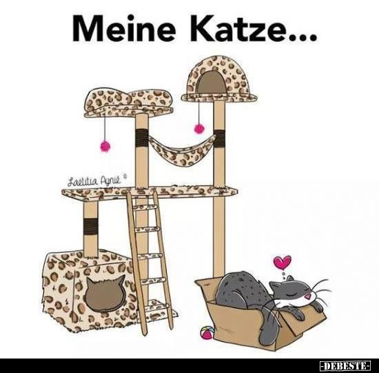 Meine Katze.. - Lustige Bilder | DEBESTE.de