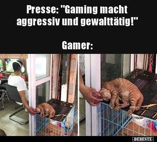 Aggressiv, Gamer