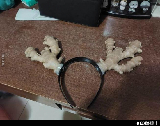  - Lustige Bilder | DEBESTE.de