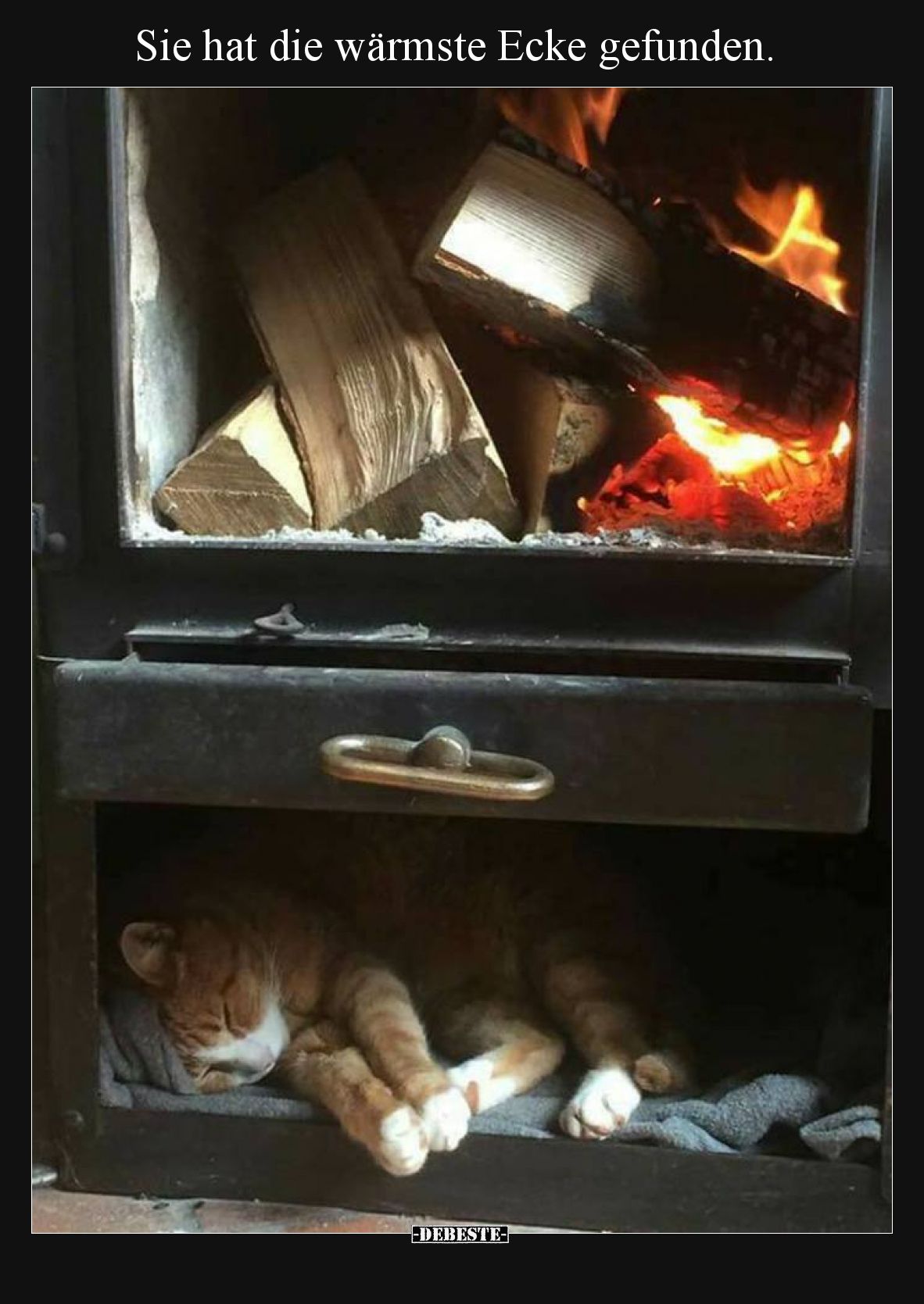 Sie hat die wärmste Ecke gefunden... - Lustige Bilder | DEBESTE.de