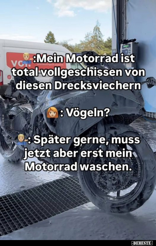 Mein Motorrad ist total vollgeschissen von diesen.. - Lustige Bilder | DEBESTE.de