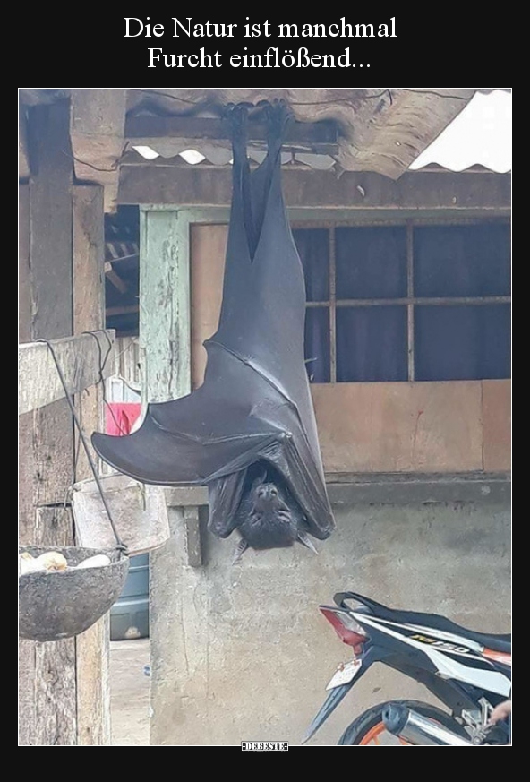 Die Natur ist manchmal Furcht einflößend...