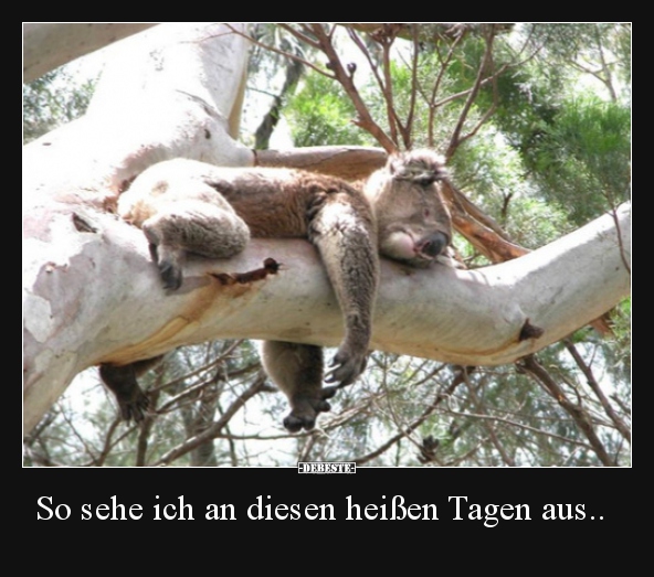 So sehe ich an diesen heißen Tagen aus..