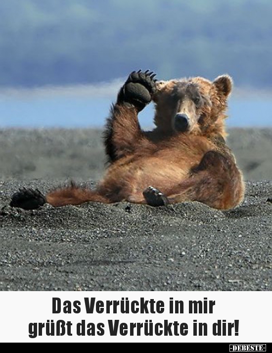 Das Verrückte in mir grüßt das Verrückte in dir!..