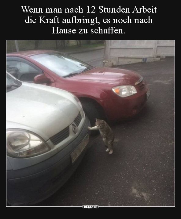 Wenn man nach 12 Stunden Arbeit die Kraft aufbringt, es.. - Lustige Bilder | DEBESTE.de