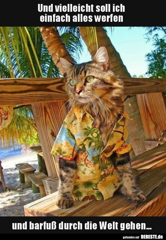 Und vielleicht soll ich  einfach alles werfen  und barfuß..
