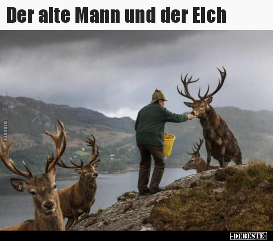 Der alte Mann und der Elch.. - Lustige Bilder | DEBESTE.de