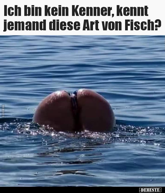 Ich bin kein Kenner, kennt jemand diese Art von Fisch?.. - Lustige Bilder | DEBESTE.de