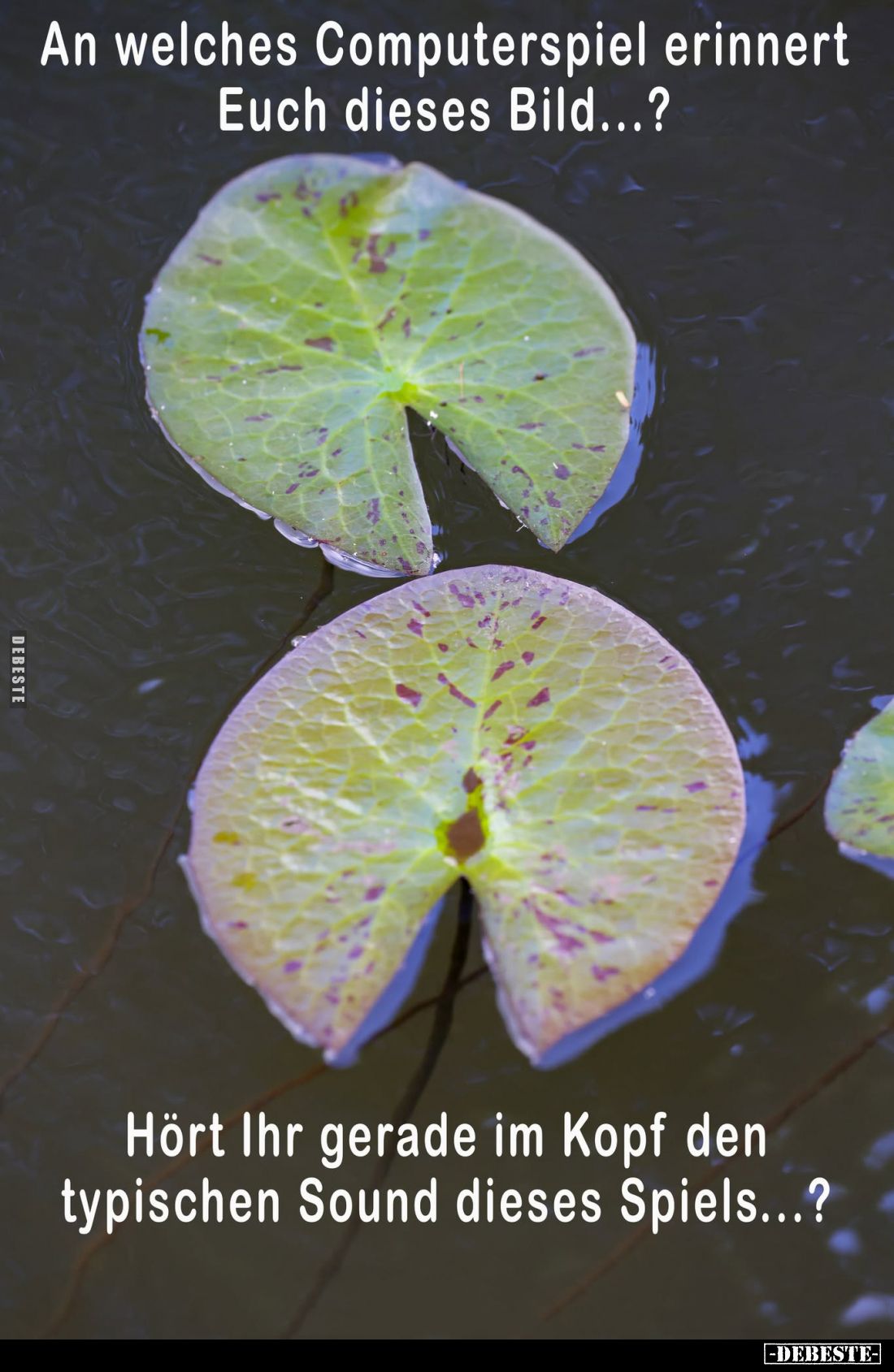 An welches Computerspiel erinnert Euch dieses Bild...?
Hört Ihr gerade im Kopf den typischen Sound dieses Spiels...?