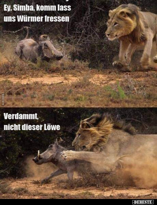 Ey, Simba, komm lass uns Würmer fressen..
