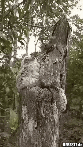 Da habe ich etwas länger gebraucht