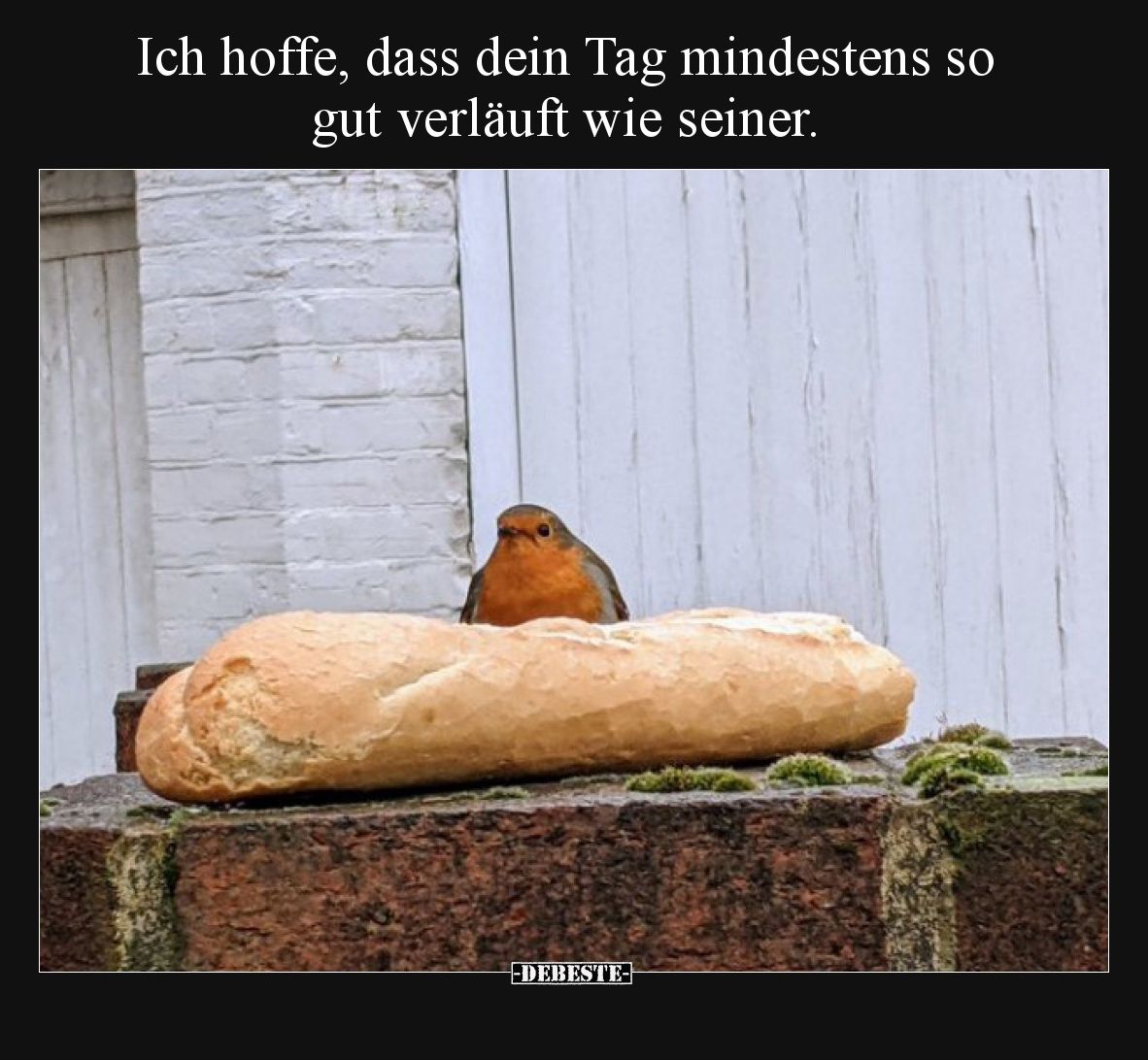 Ich hoffe, dass dein Tag mindestens so gut verläuft wie seiner.