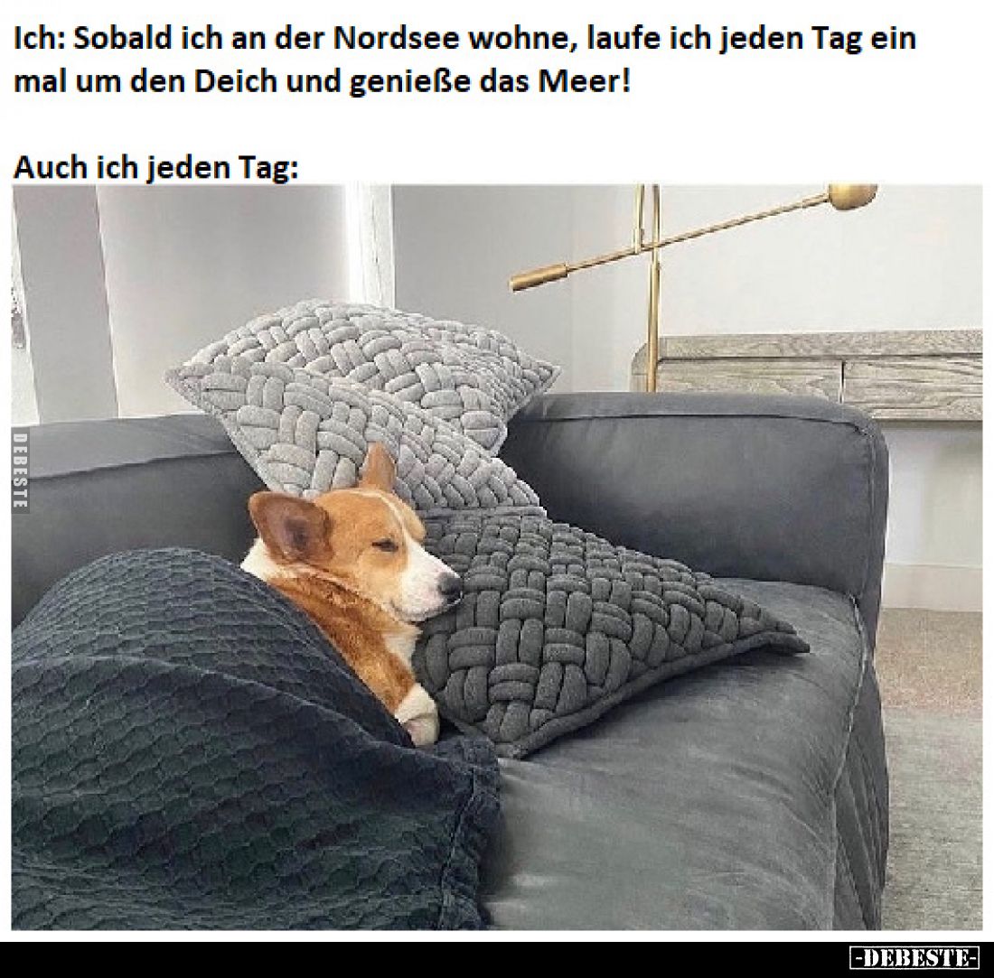 Ich: Sobald ich an der Nordsee wohne, laufe ich jeden Tag ein mal um den Deich und genieße das Meer! Auch ich jeden Tag: