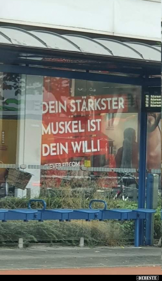 Dein stärkster Muskel ist dein Willi... - Lustige Bilder | DEBESTE.de