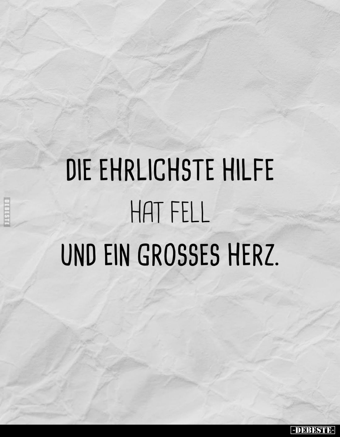 Die ehrlichste Hilfe hat Fell und ein großes Herz.