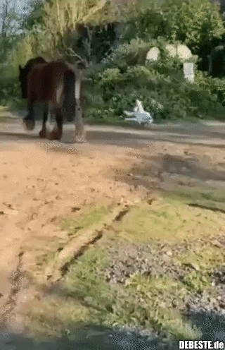 Sie hat den Gegner unterschätzt..