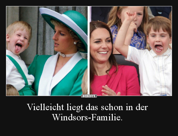 Vielleicht liegt das schon in der Windsors-Familie... - Lustige Bilder | DEBESTE.de