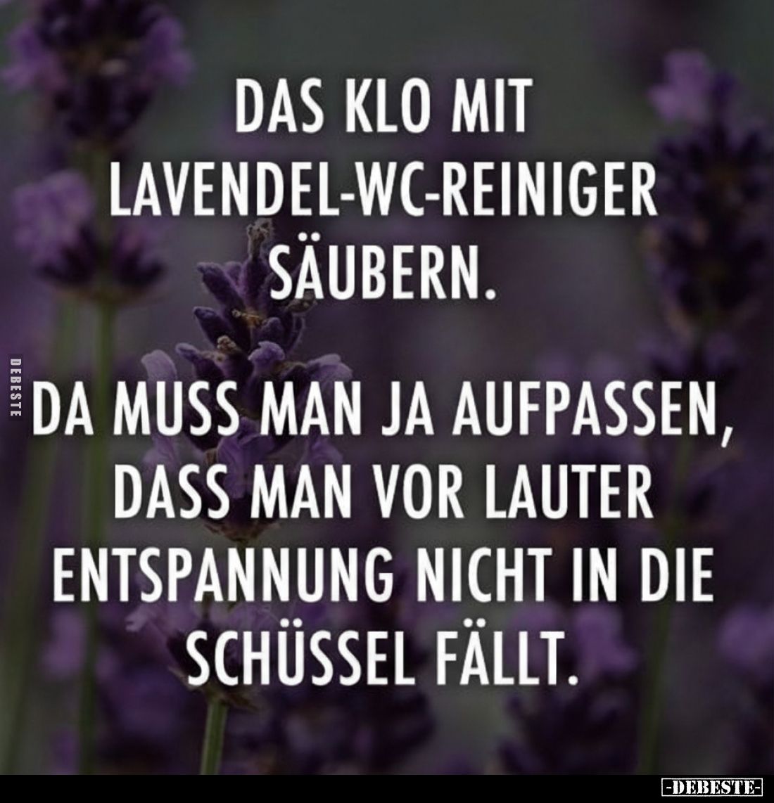Das Klo mit Lavendel-Wc-Reiniger säubern. Da muss man ja aufpassen, dass man vor lauter Entspannung nicht in die Schüssel fäl...