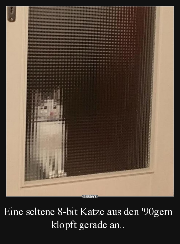 Eine seltene 8-bit Katze aus den '90gern klopft gerade an.. - Lustige Bilder | DEBESTE.de