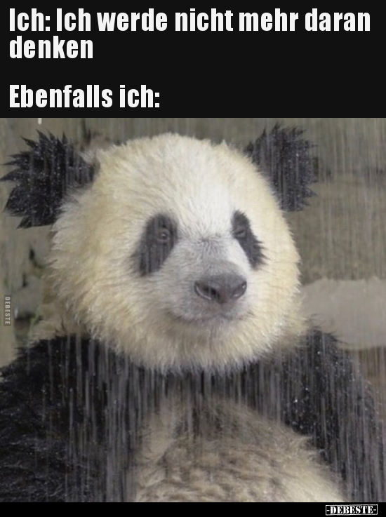 Ich: Ich werde nicht mehr daran denken
Ebenfalls ich: