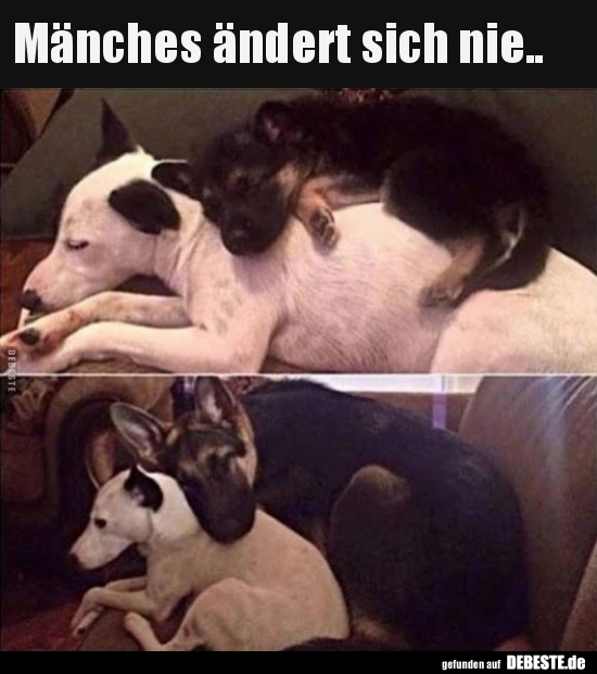 Mänches ändert sich nie..