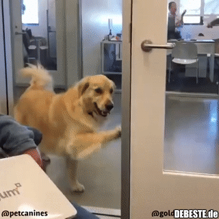 Lasst mich rein, ich möchte etwas sagen...