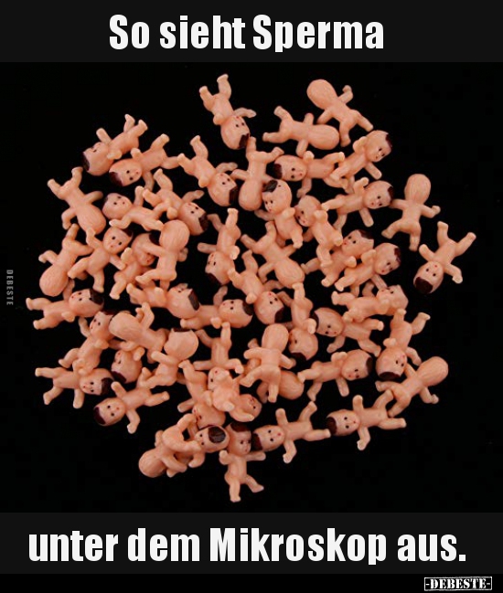 So sieht Sperma unter dem Mikroskop aus... - Lustige Bilder | DEBESTE.de