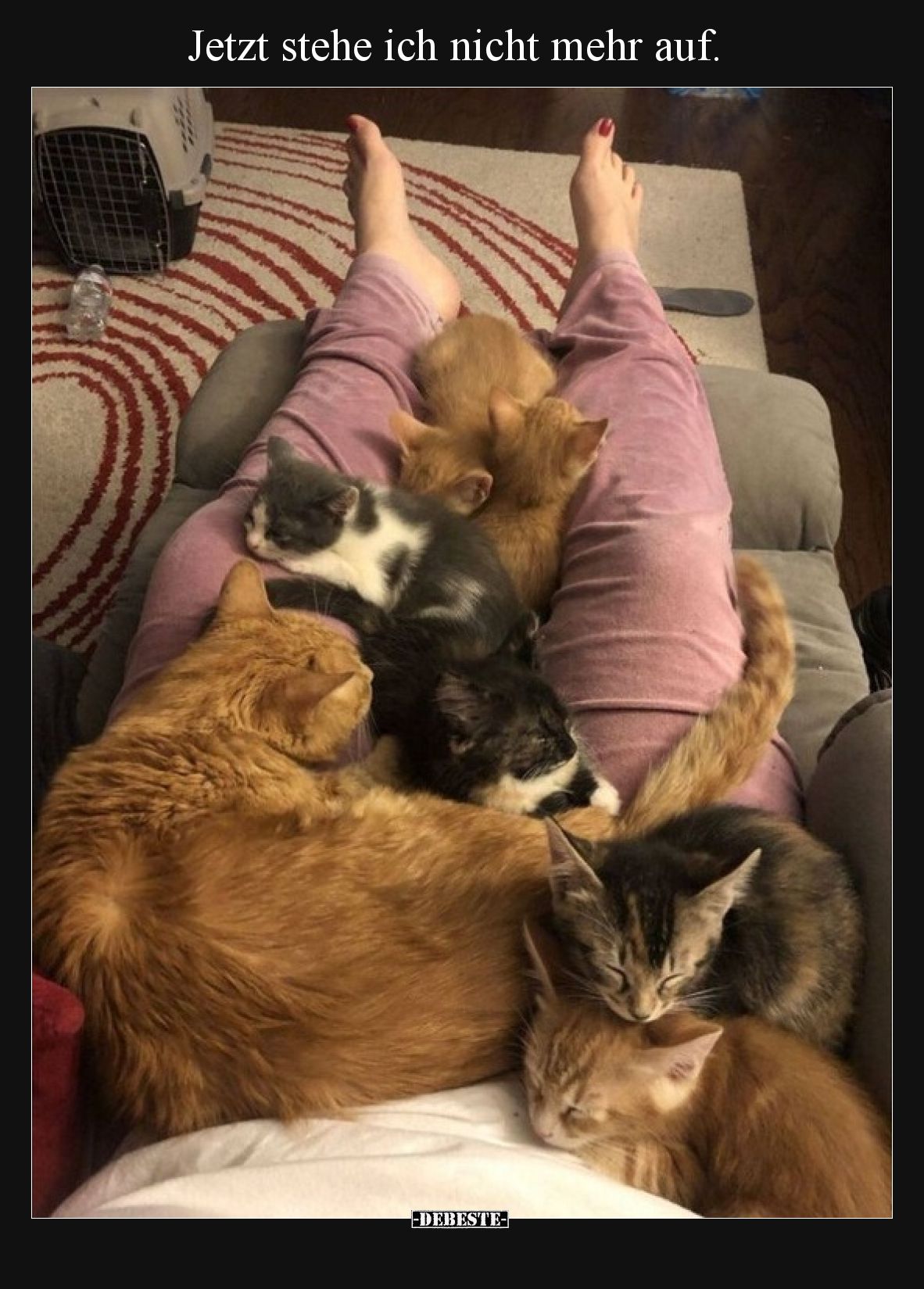 Jetzt stehe ich nicht mehr auf.
