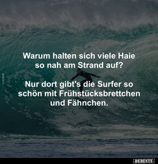 Warum halten sich viele Haie so nah am Strand auf?.. - Lustige Bilder | DEBESTE.de