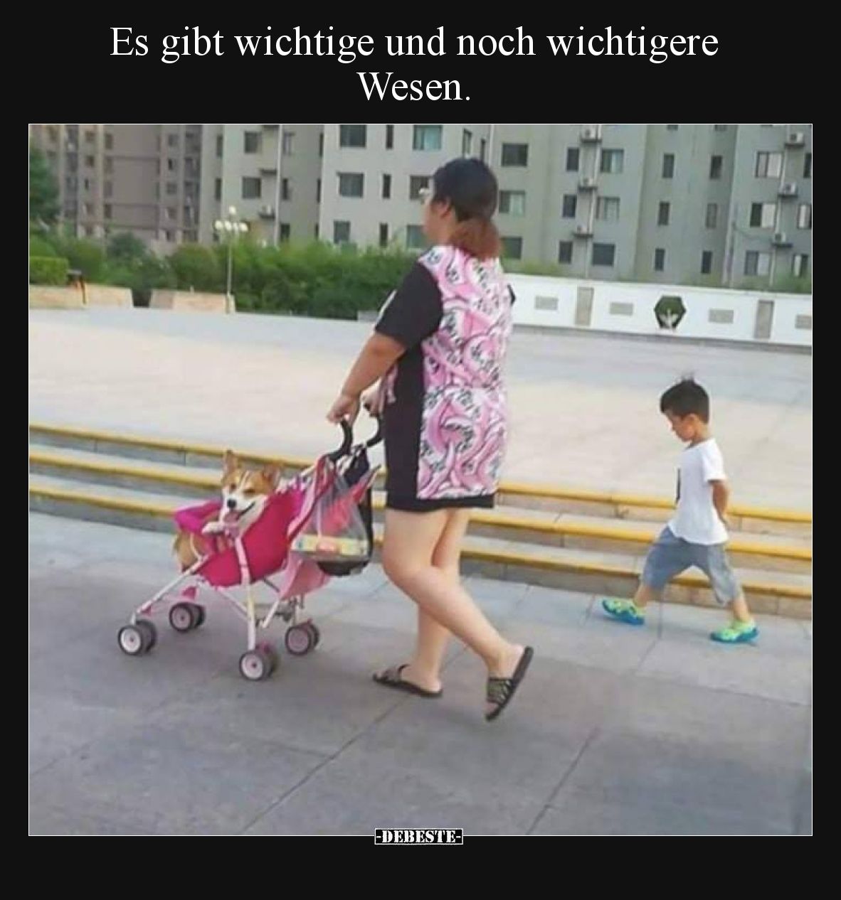 Es gibt wichtige und noch wichtigere Wesen.